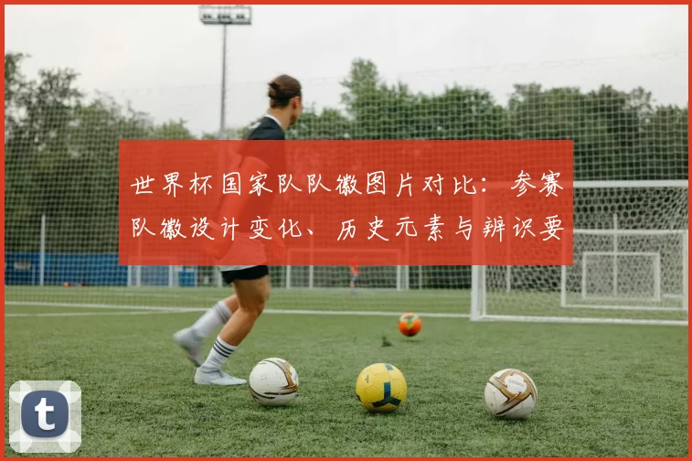 世界杯国家队队徽图片对比：参赛队徽设计变化、历史元素与辨识要点