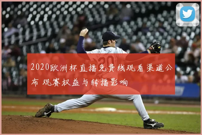 2020欧洲杯直播免费线观看渠道公布 观赛权益与转播影响